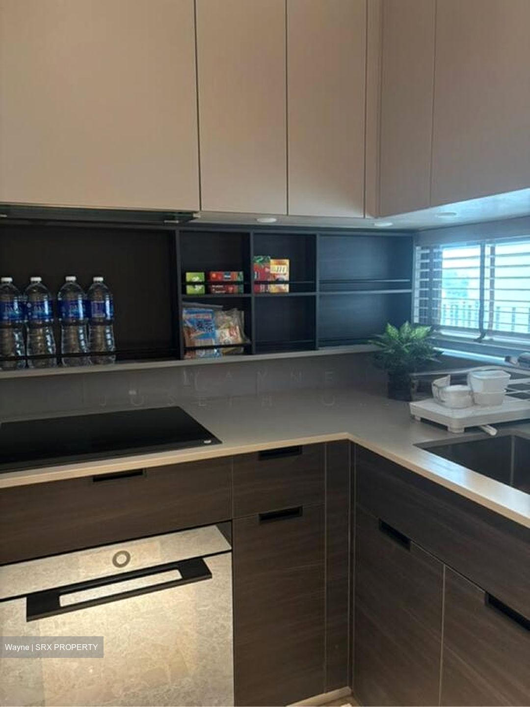 Haus On Handy (D9), Condominium #498811451